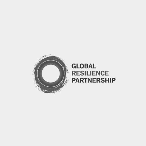 Partner Image